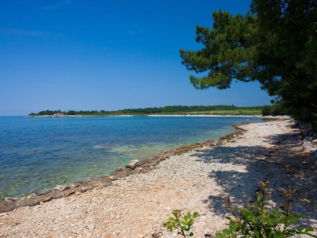 Camping Adria Mobile Homes In Camping Kastanija Novigrad  ภายนอก รูปภาพ